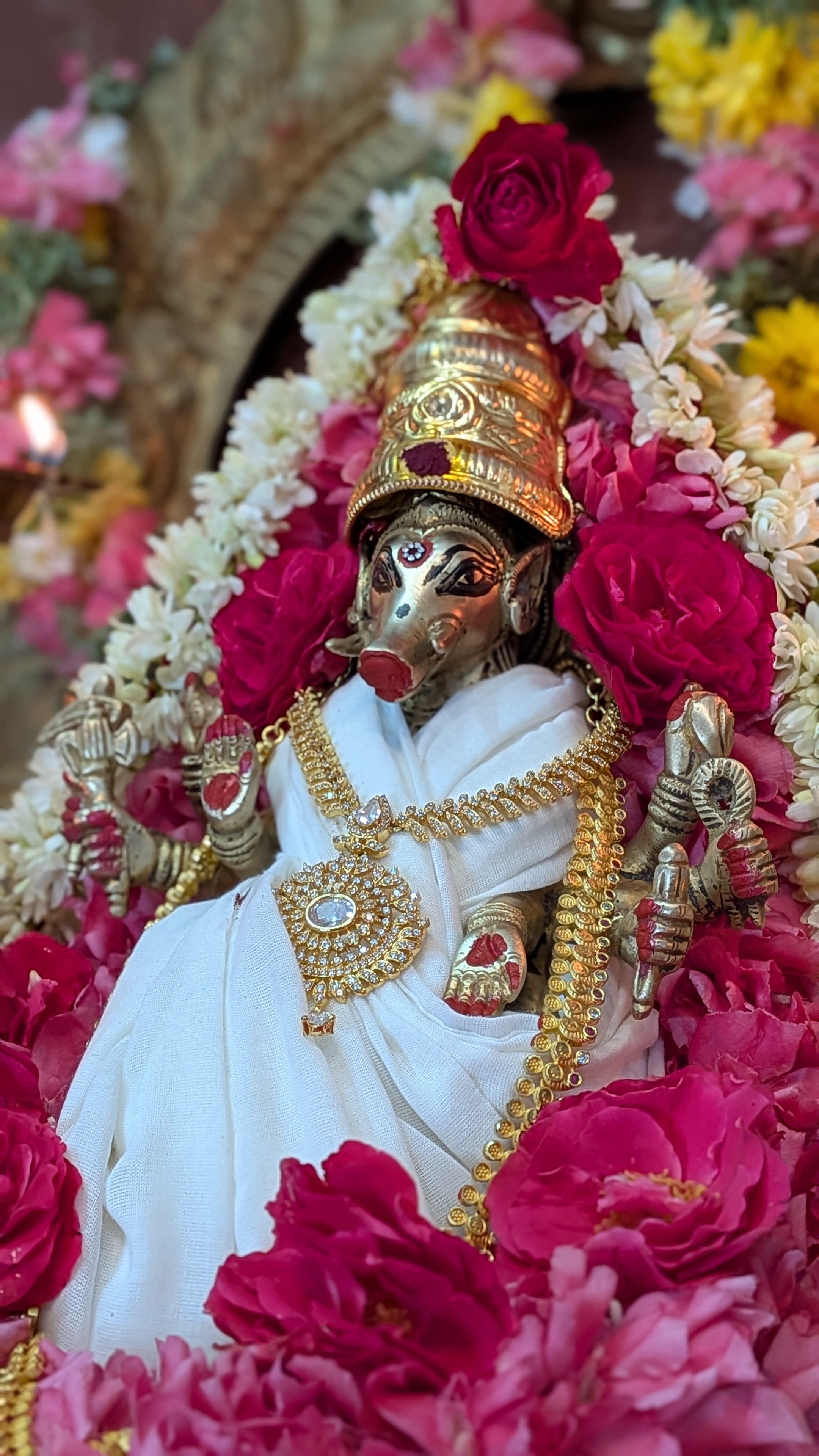 Goddess Varahi murti in a white saree, adorned for Pournami pooja